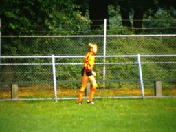 0DIA 1985 RAVA PUPS 1